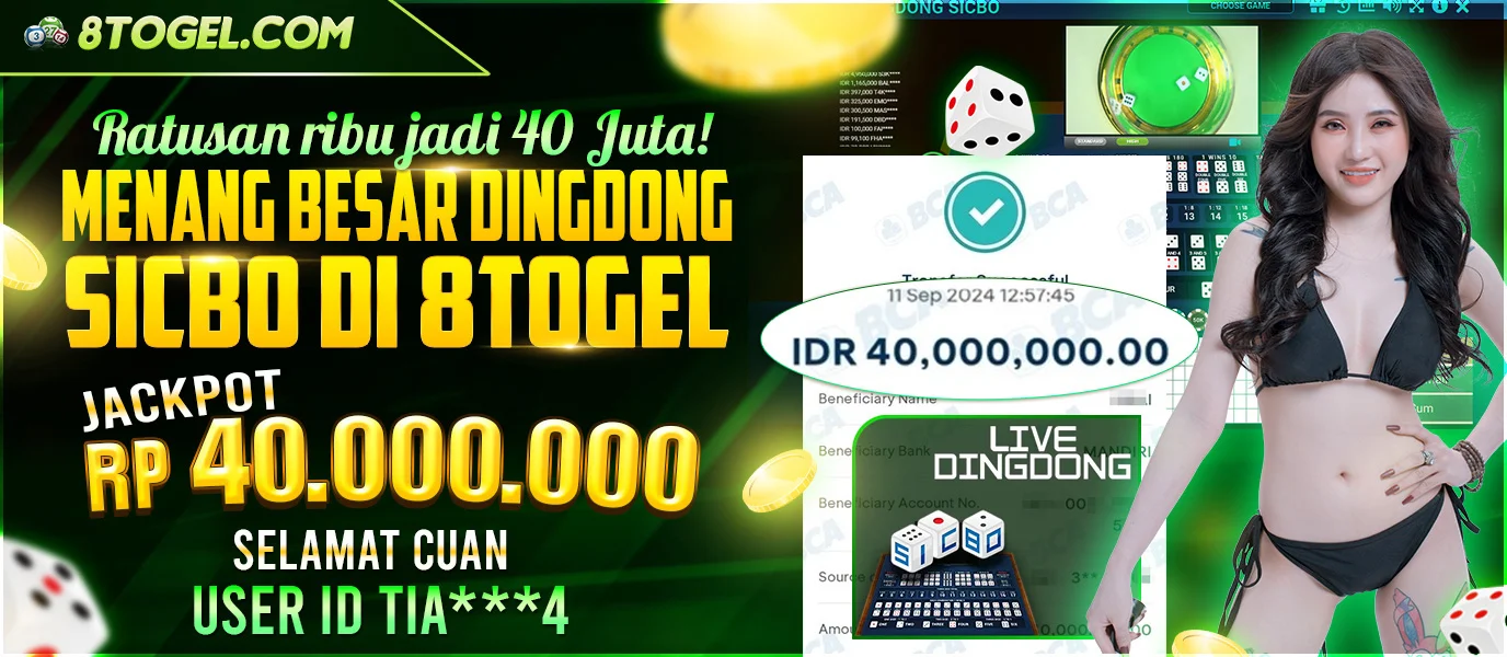 8tdingo.com